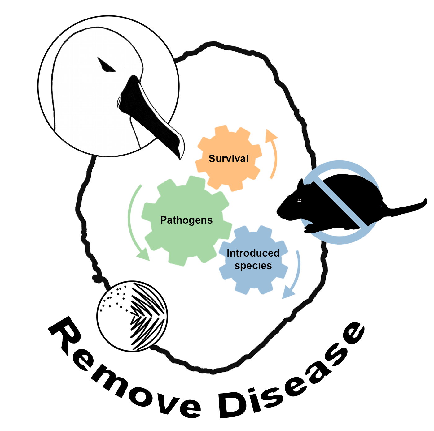 Project REMOVE_DISEASE